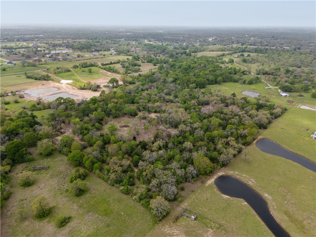 9993 Panther Creek Road Iola, TX 77861 - Photo 9 of 50 a view of a city