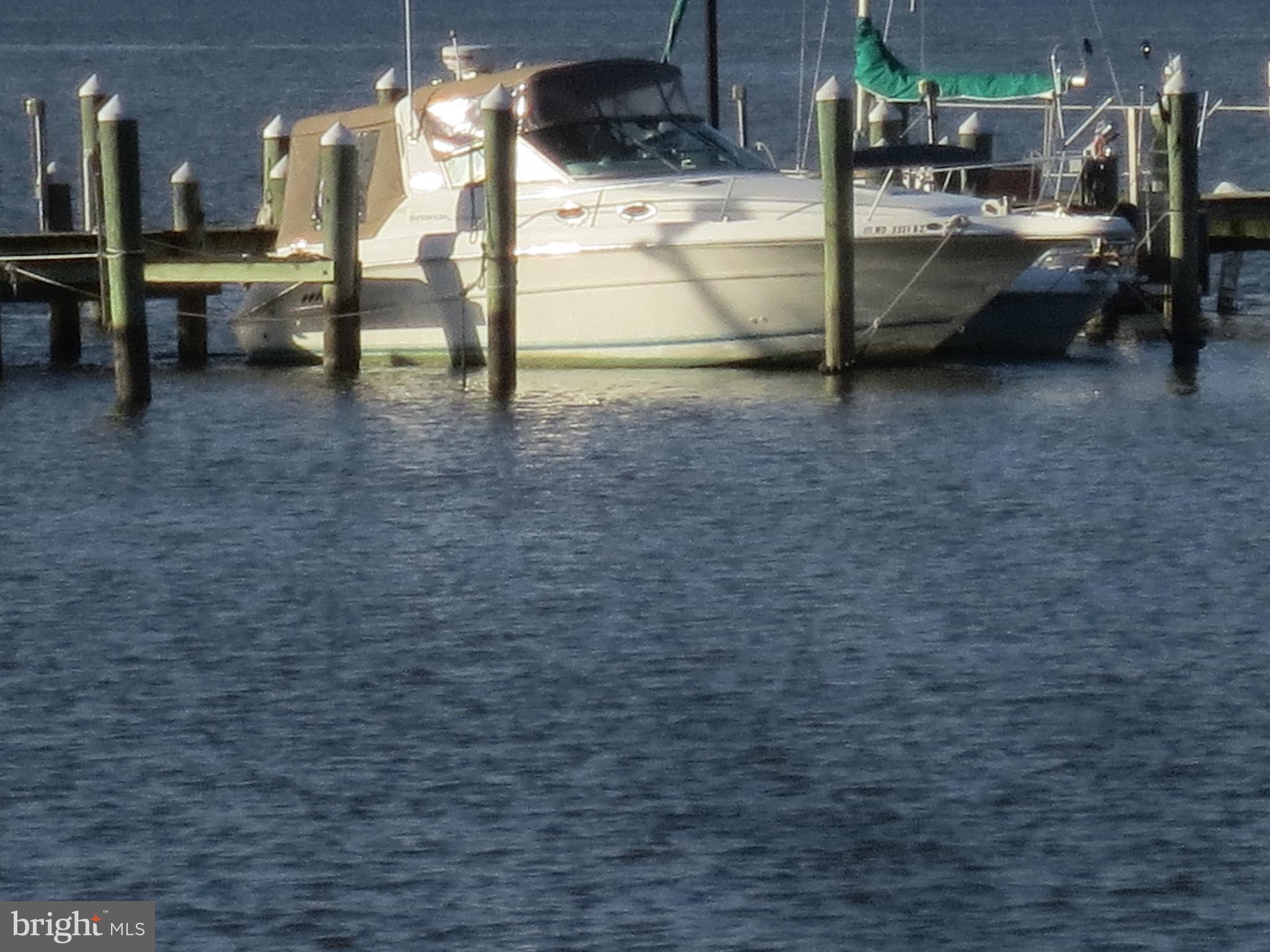 21 Hacks Point Road Earleville, MD 21919 - Photo 12 of 15 a view of a yard