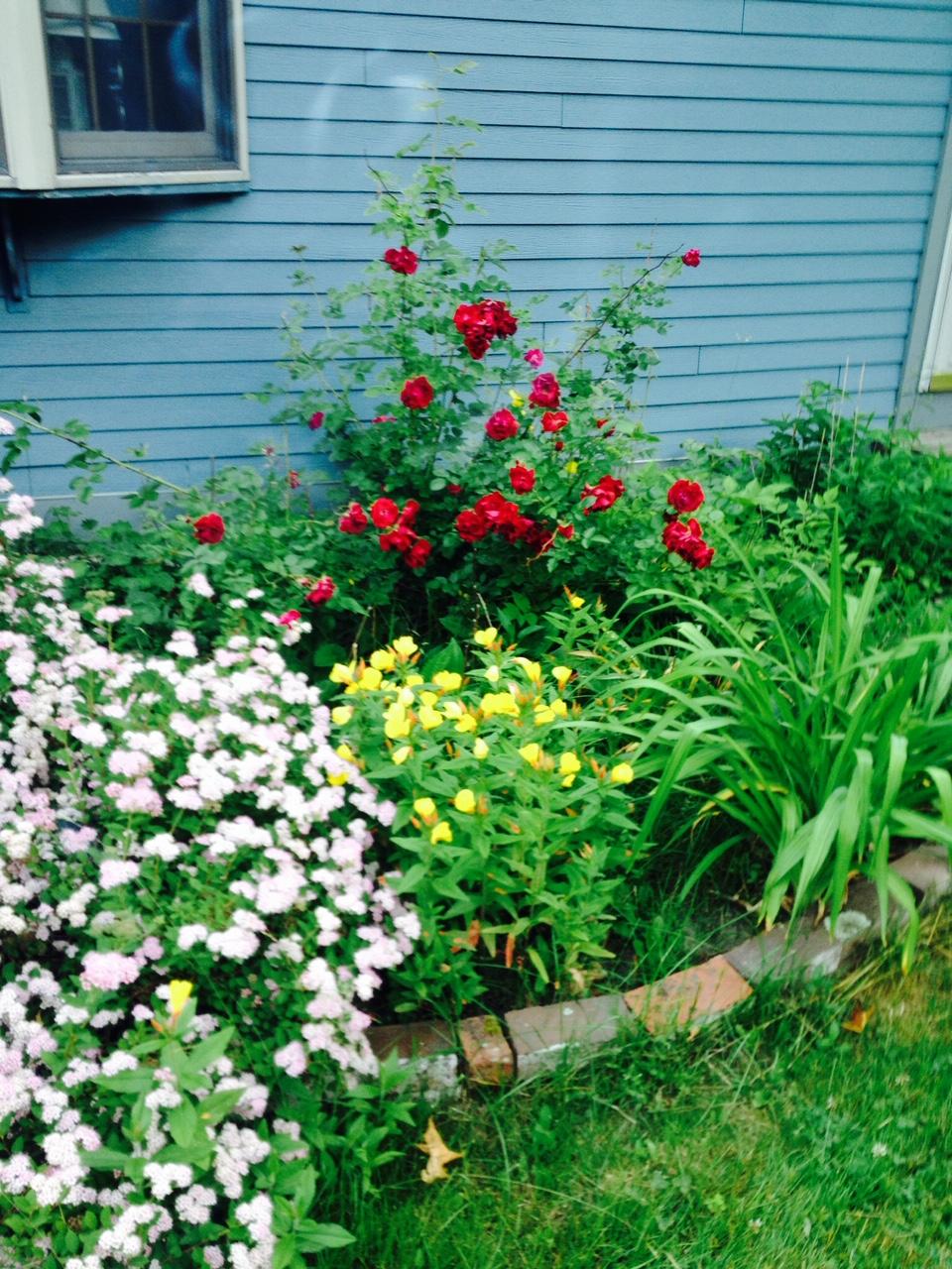 904 Bristol Road Bristol, ME 04539 - Photo 44 of 46 Beautiful Gardens