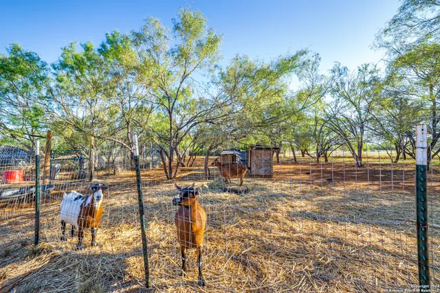 $375,000 | 8180 Fm 2146, Jourdanton, TX 78026