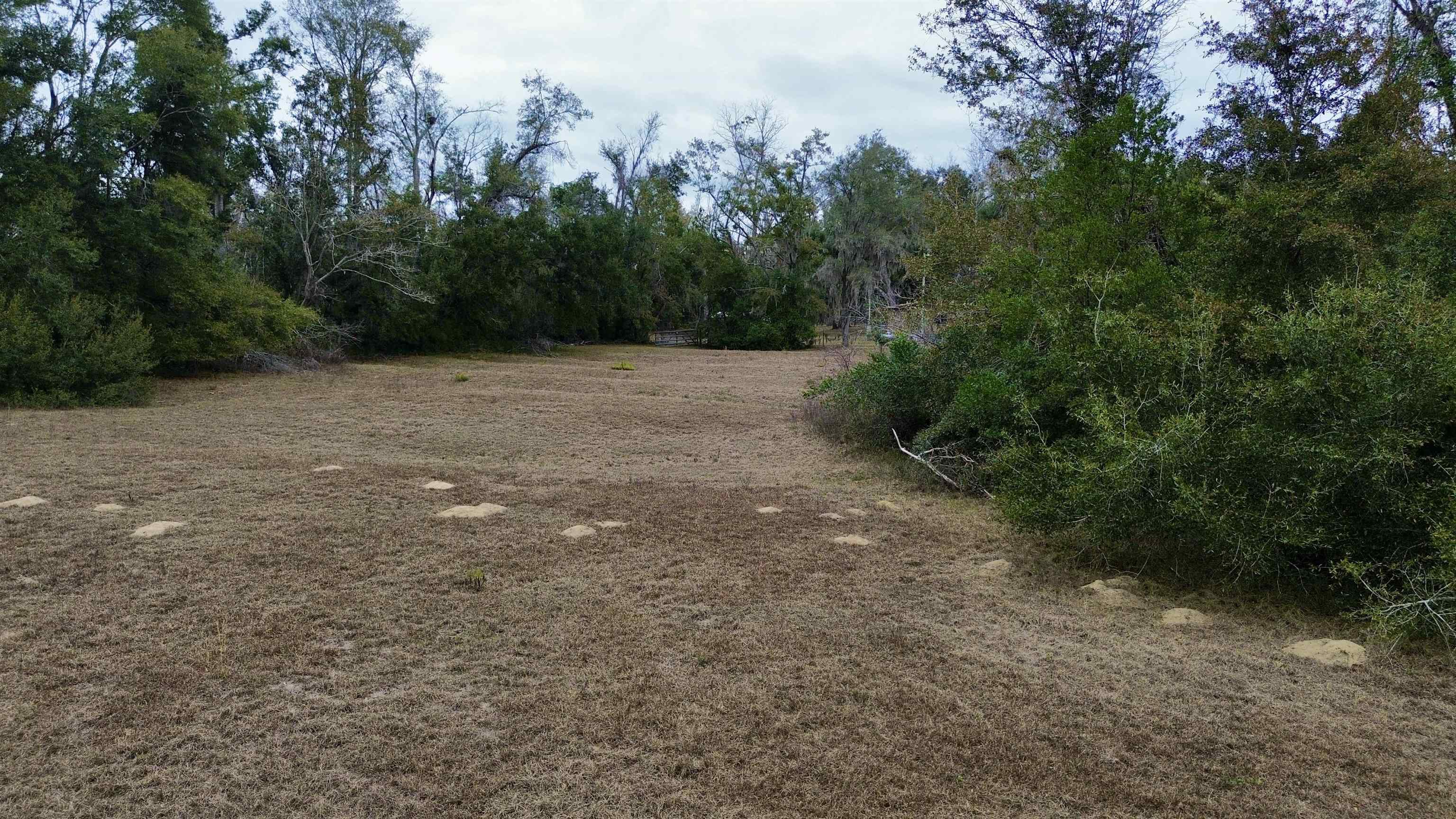 2342 Sidney Blanton Road Perry, FL 32347 - Photo 4 of 15