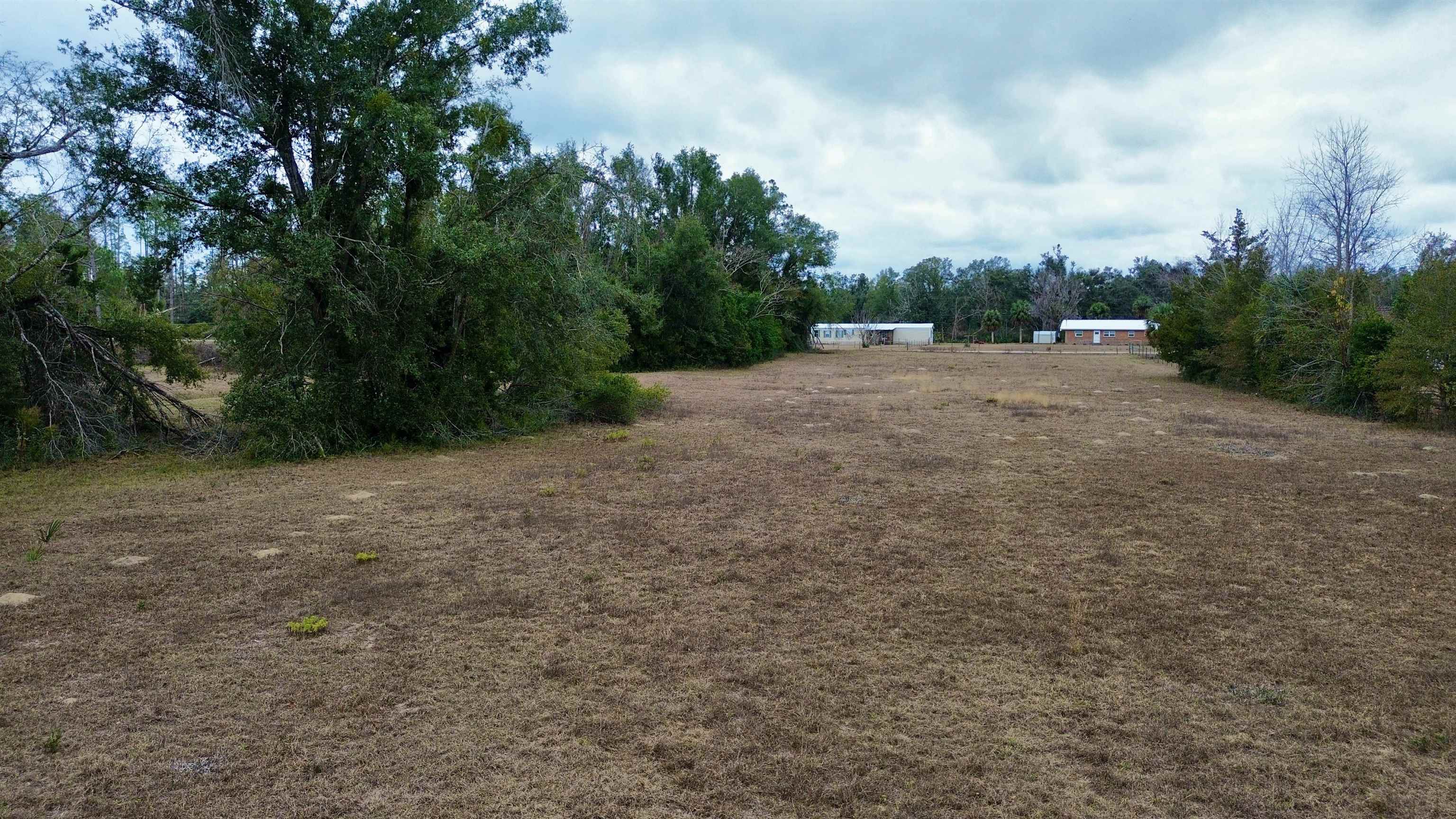 2342 Sidney Blanton Road Perry, FL 32347 - Photo 5 of 15