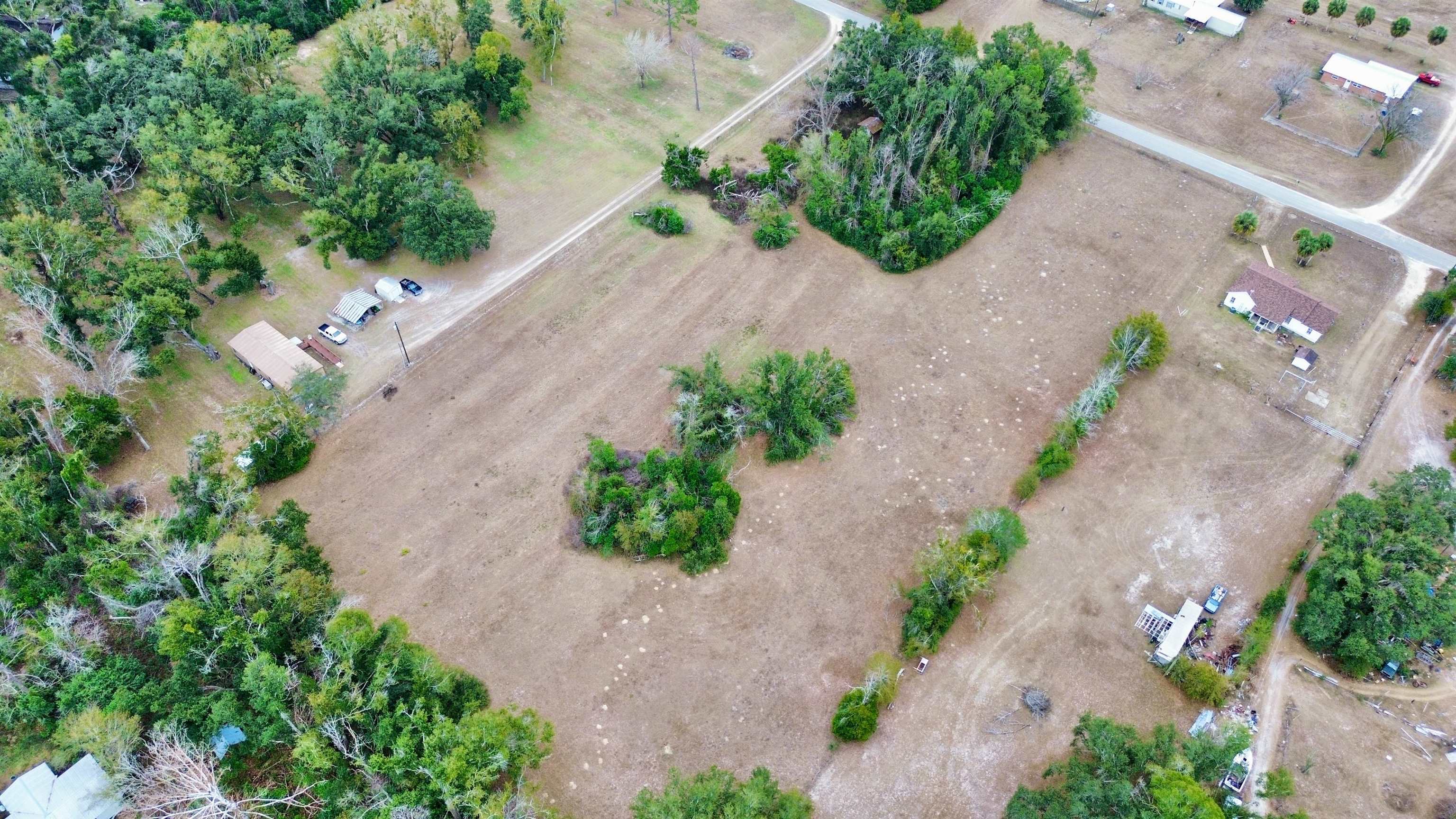 2342 Sidney Blanton Road Perry, FL 32347 - Photo 7 of 15