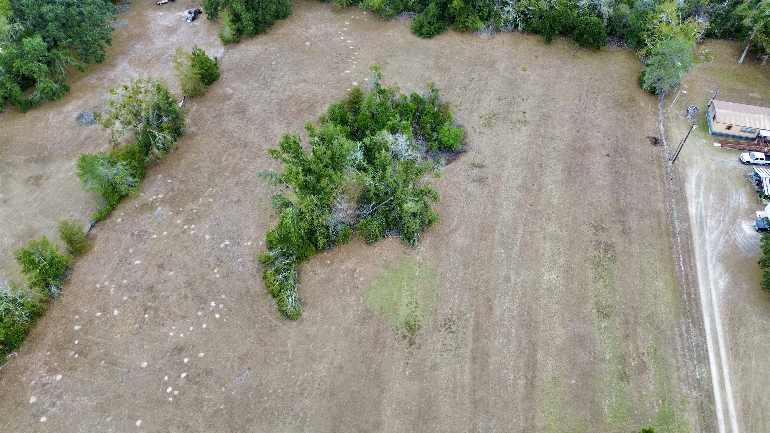 2342 Sidney Blanton Road Perry, FL 32347 - Photo 9 of 15