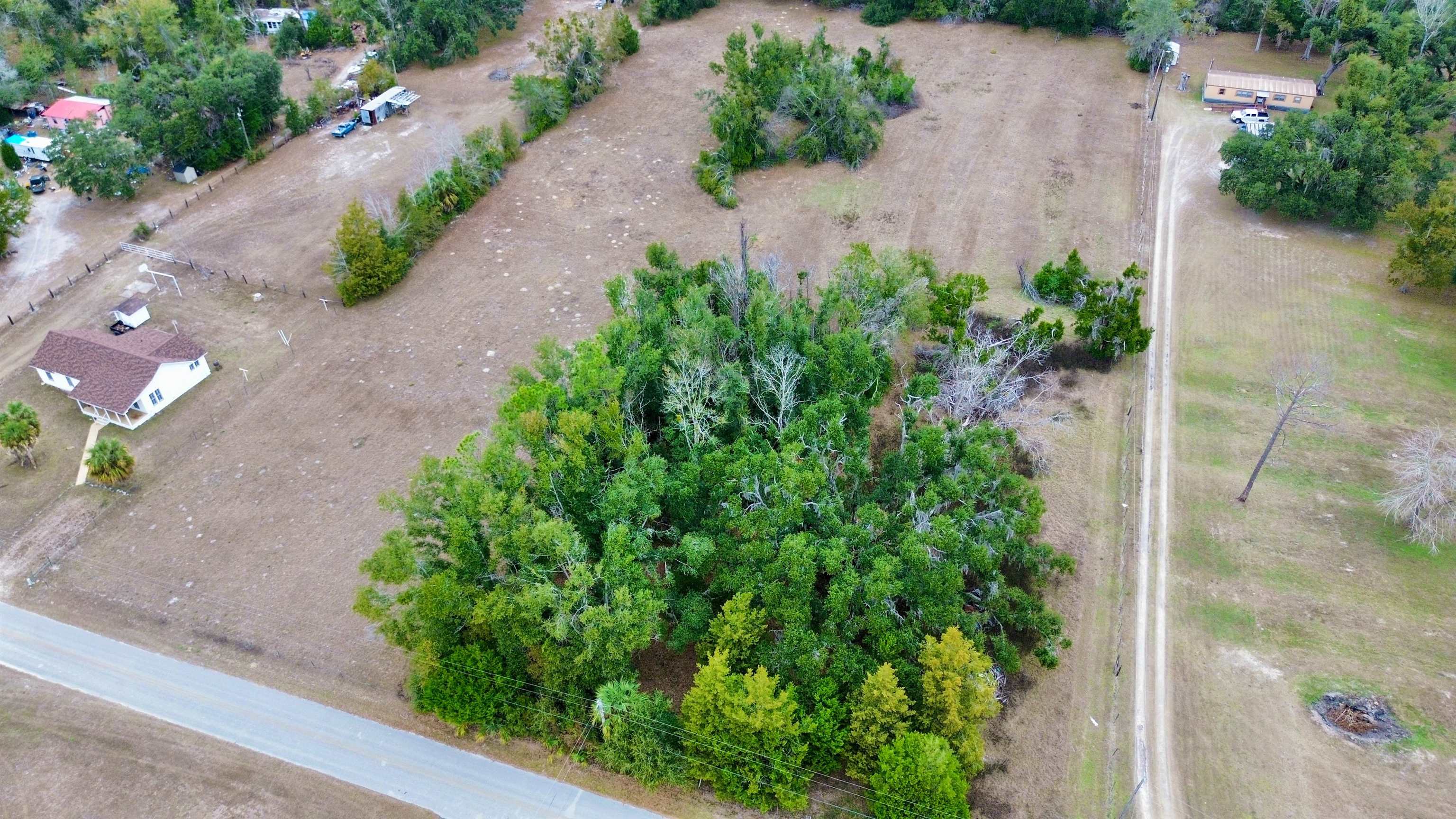 2342 Sidney Blanton Road Perry, FL 32347 - Photo 10 of 15