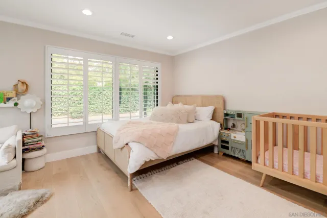 a view of a garden with plants