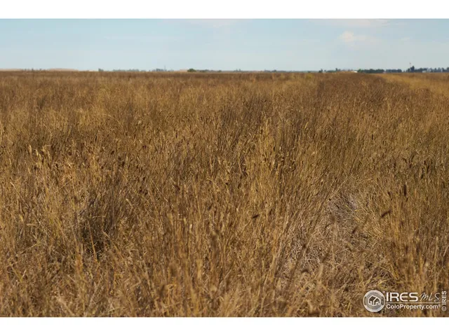 a view of an outdoor space and stove