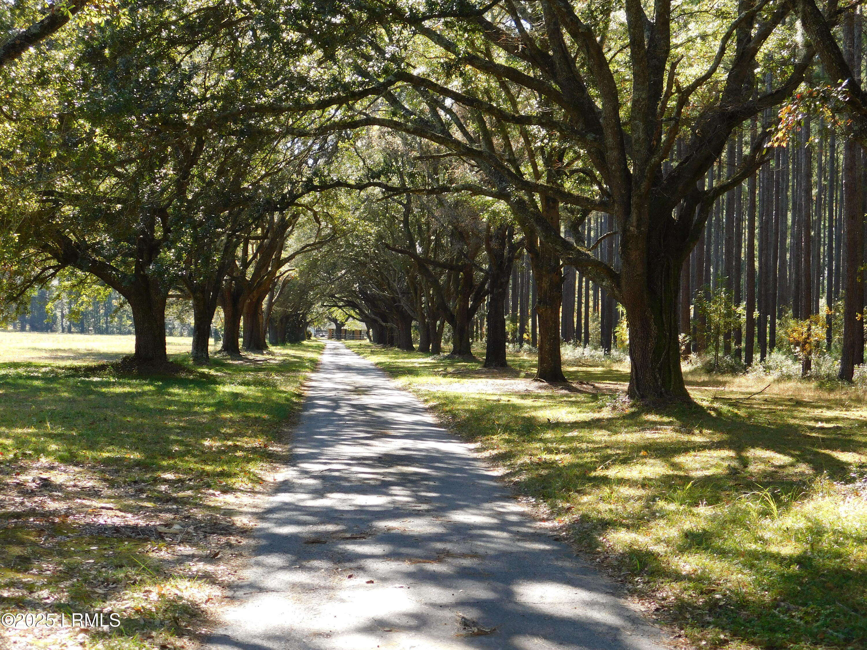 1608 Smiths Crossing Ridgeland, SC 29936 - Photo 35 of 35 DSCN6661