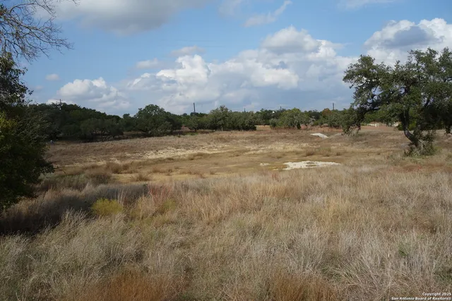 a view of a lake with a forest