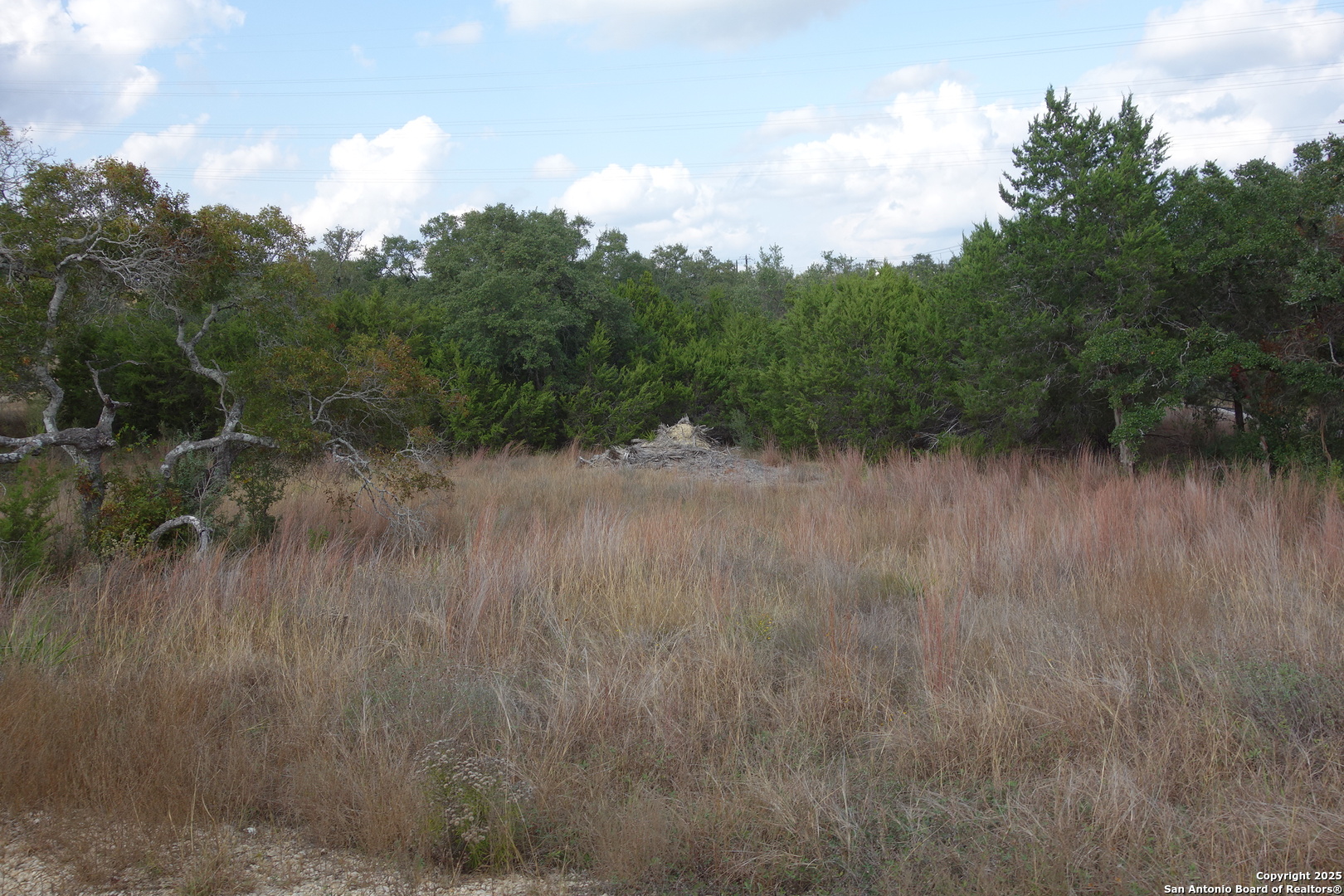 850 Brand Road Bulverde, TX 78163 - Photo 2 of 7 a view of a lake with a forest