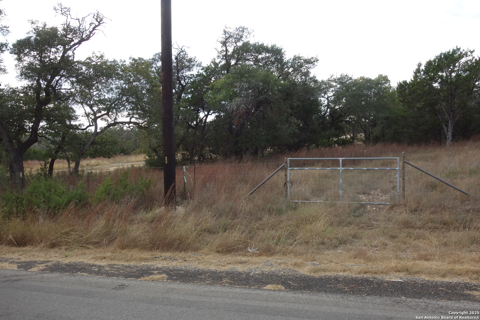 850 Brand Road Bulverde, TX 78163 - Photo 3 of 7 a backyard of a house with lots of green space