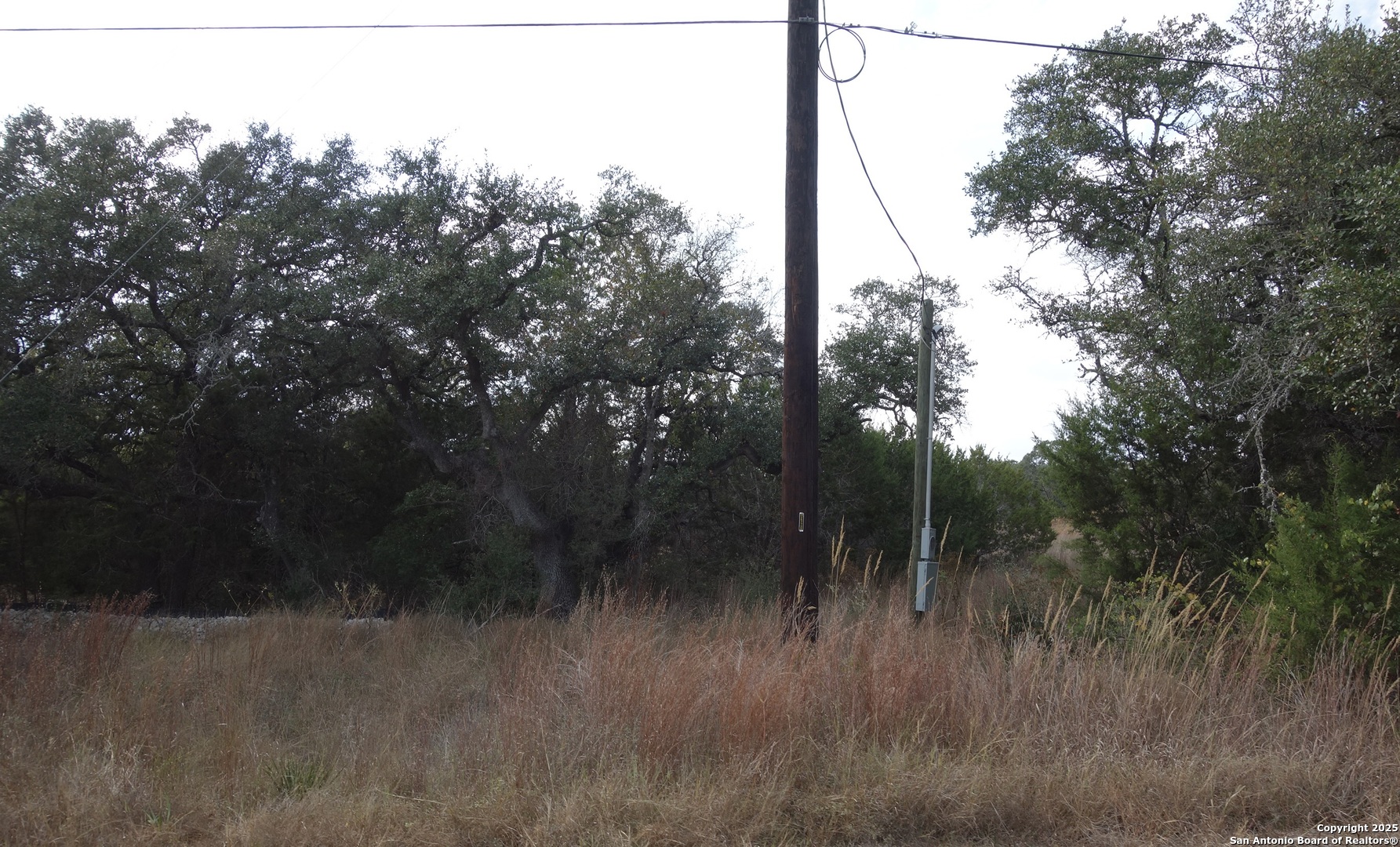 850 Brand Road Bulverde, TX 78163 - Photo 5 of 7 a view of a forest