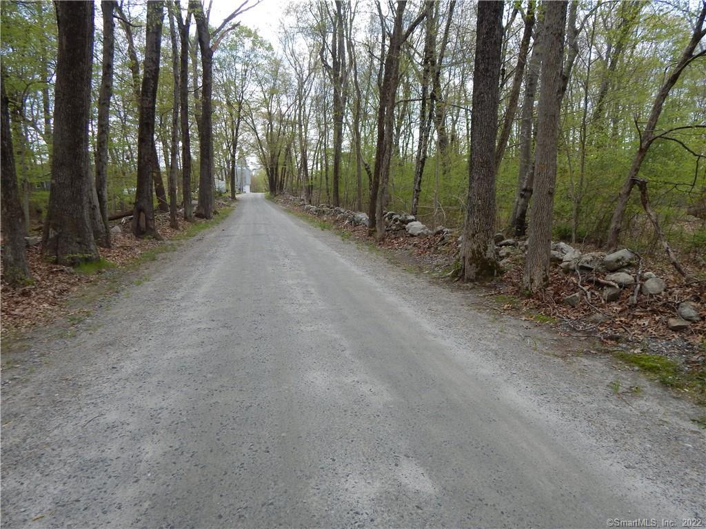 a view of a forest with trees in the background