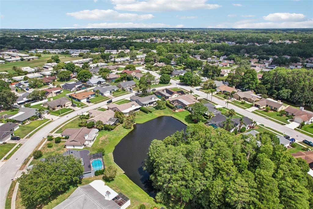 9803 Middlecoff Drive New Port Richey, FL 34655 - Photo 40 of 42