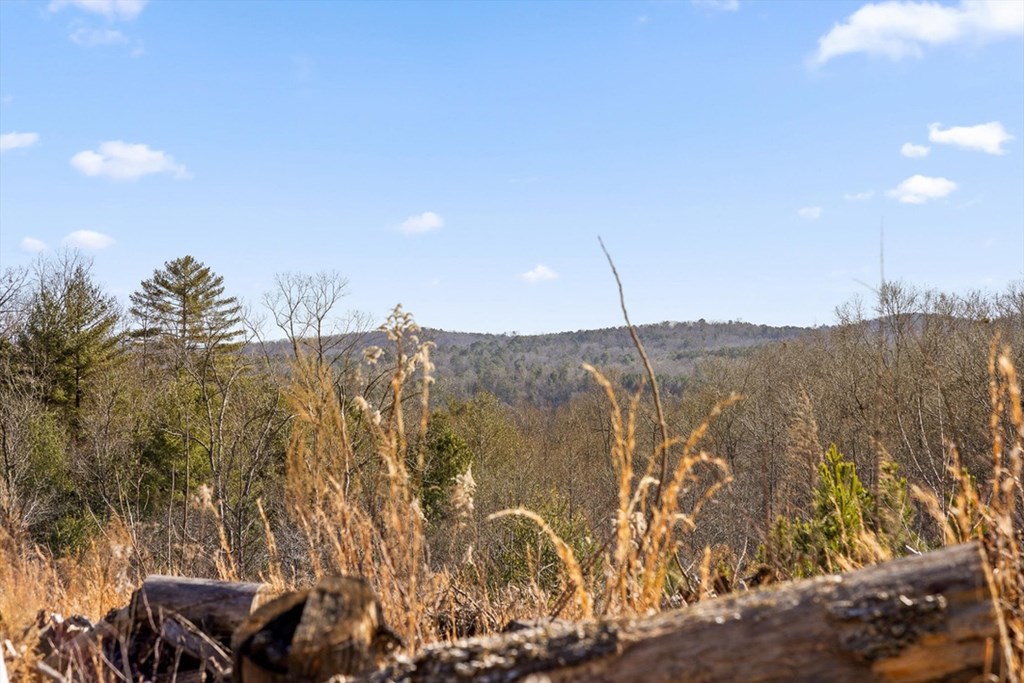 1776 Hap Holt Road Ellijay, GA 30540 - Photo 13 of 21 Gallery Image 13