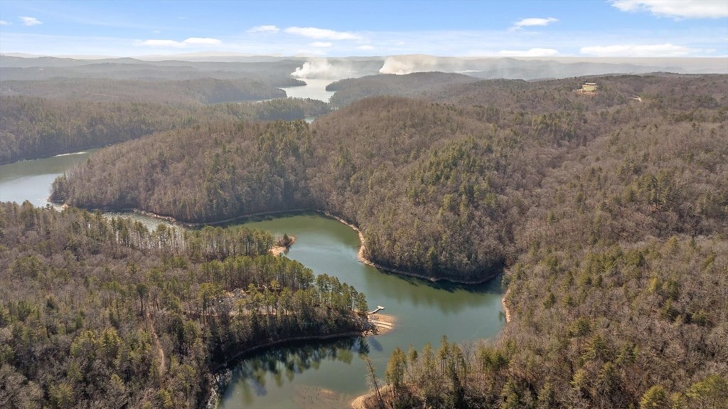 1776 Hap Holt Road Ellijay, GA 30540 - Photo 19 of 21 Gallery Image 19
