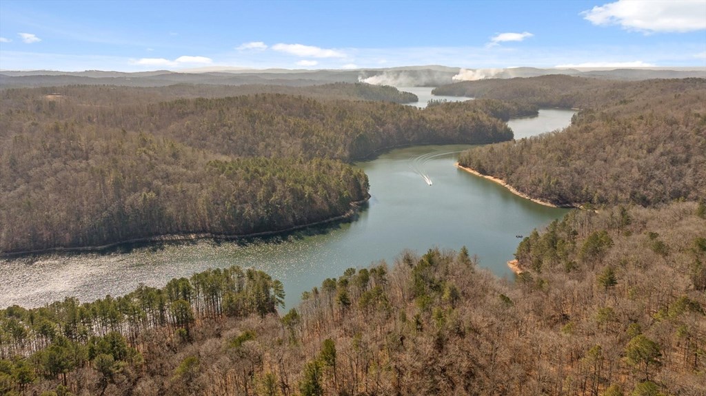 1776 Hap Holt Road Ellijay, GA 30540 - Photo 20 of 21 Gallery Image 20