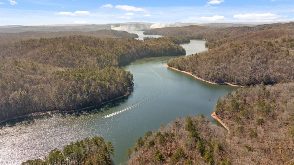 1776 Hap Holt Road Ellijay, GA 30540 - Photo 21 of 21 Gallery Image 21