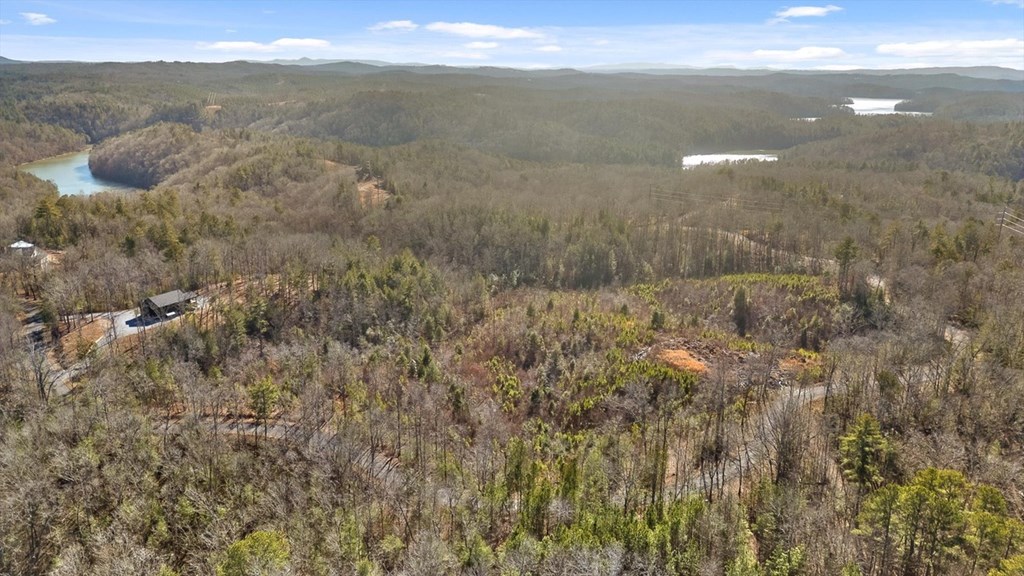 1776 Hap Holt Road Ellijay, GA 30540 - Photo 8 of 21 Gallery Image 8