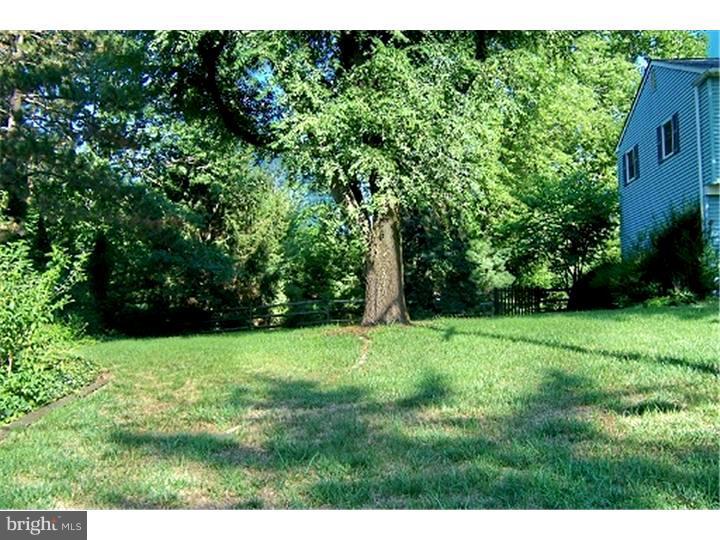 1000 Pinetown Road Fort Washington, PA 19034 - Photo 24 of 25 Side Yard