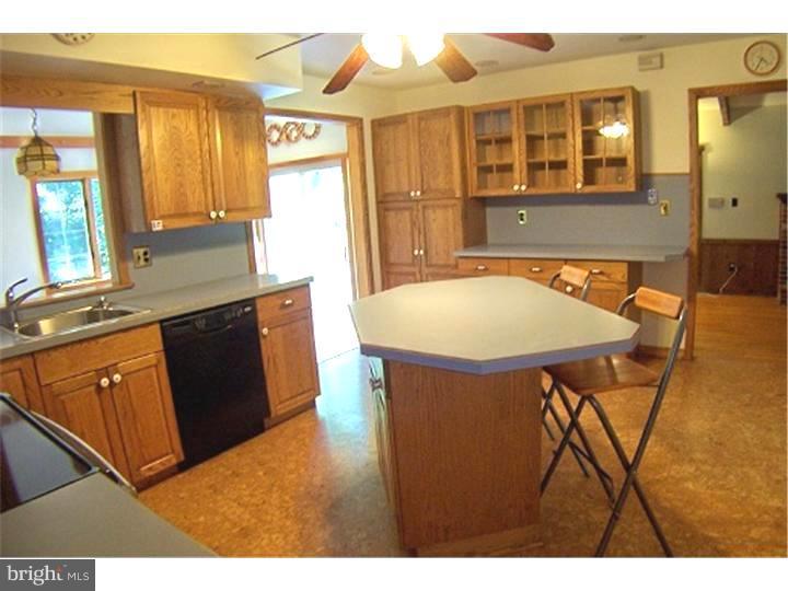 1000 Pinetown Road Fort Washington, PA 19034 - Photo 4 of 25 Kitchen