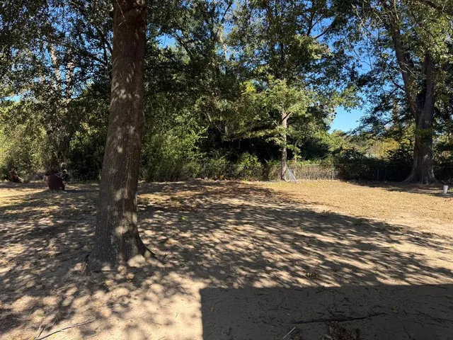 a view of snow covered with trees