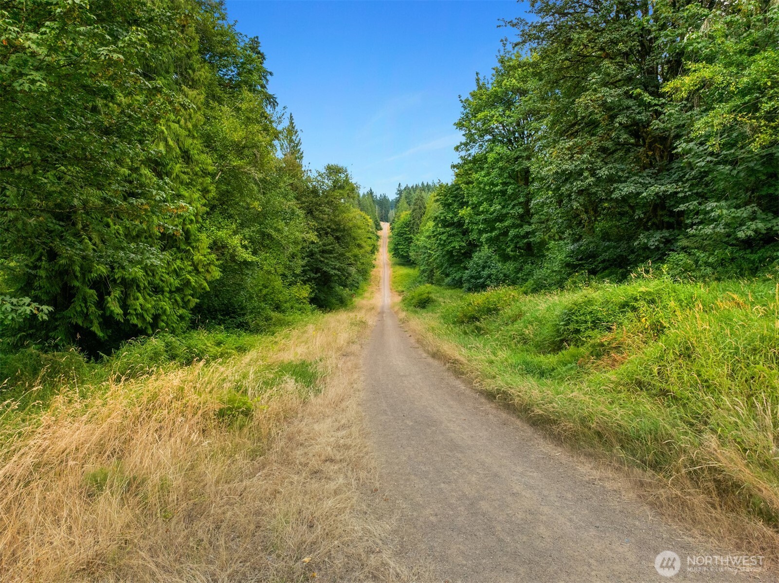 13-xxx Carnation-Duvall Road Northeast Duvall, WA 98019 - Photo 11 of 15 a view of a yard with plants and large trees