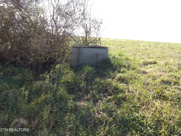 $70,000 | Lot 32-33 Canary Lane, Speedwell, TN 37870