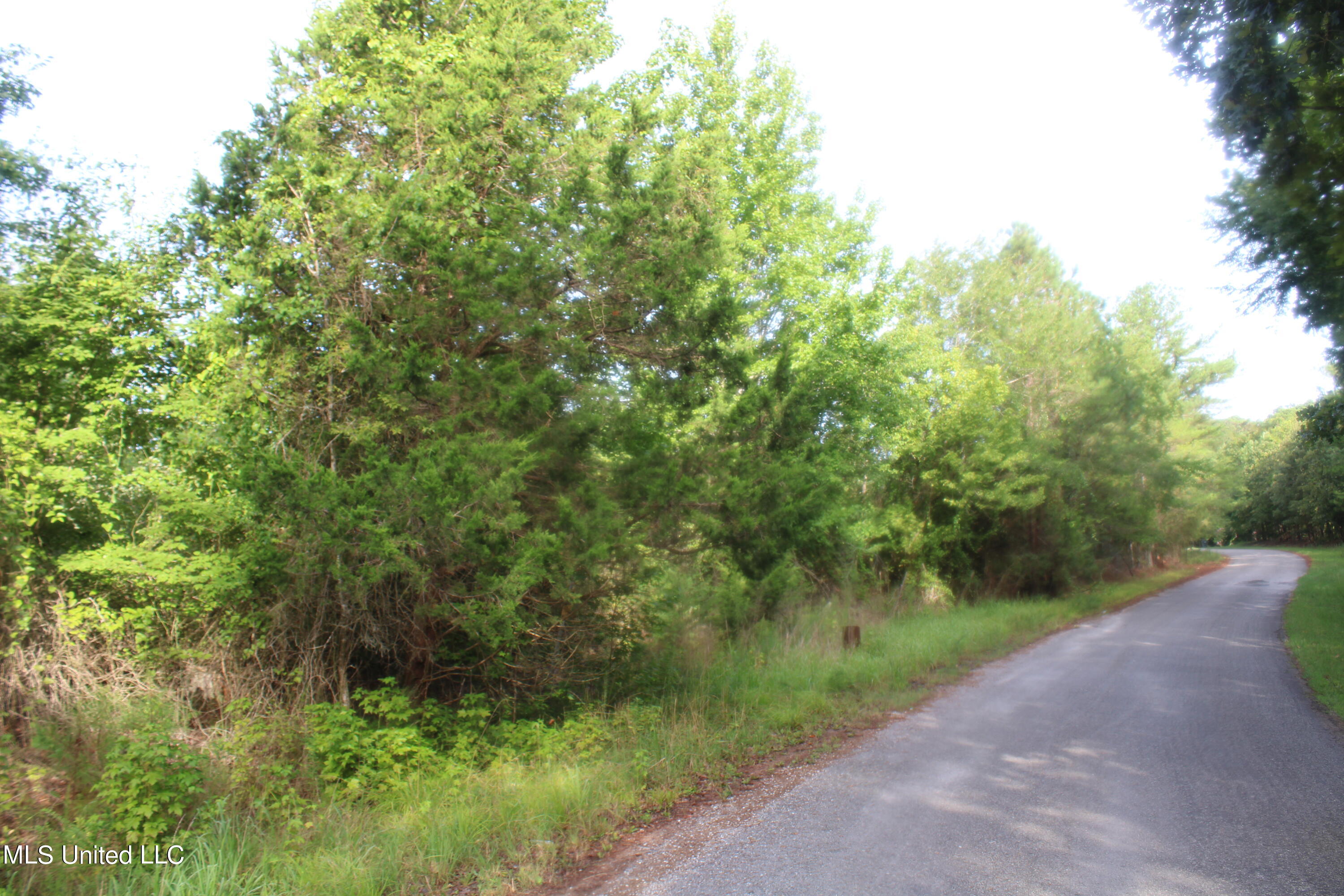 3700 Higdon Road Holly Springs, MS 38635 - Photo 12 of 16 IMG_4264