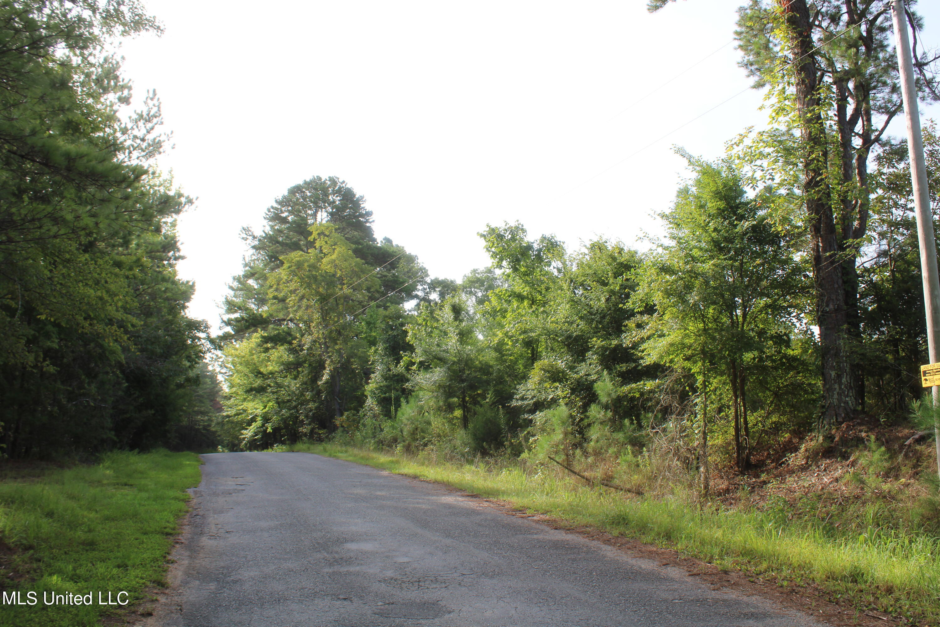 3700 Higdon Road Holly Springs, MS 38635 - Photo 13 of 16 IMG_4265