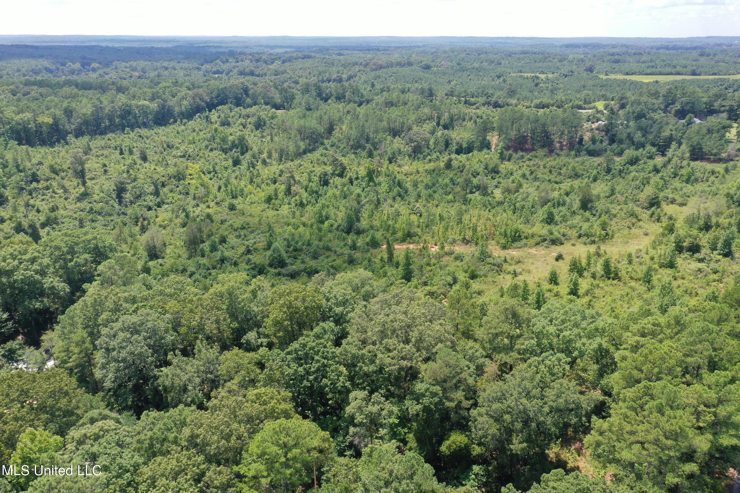3700 Higdon Road Holly Springs, MS 38635 - Photo 2 of 16 DJI_0408