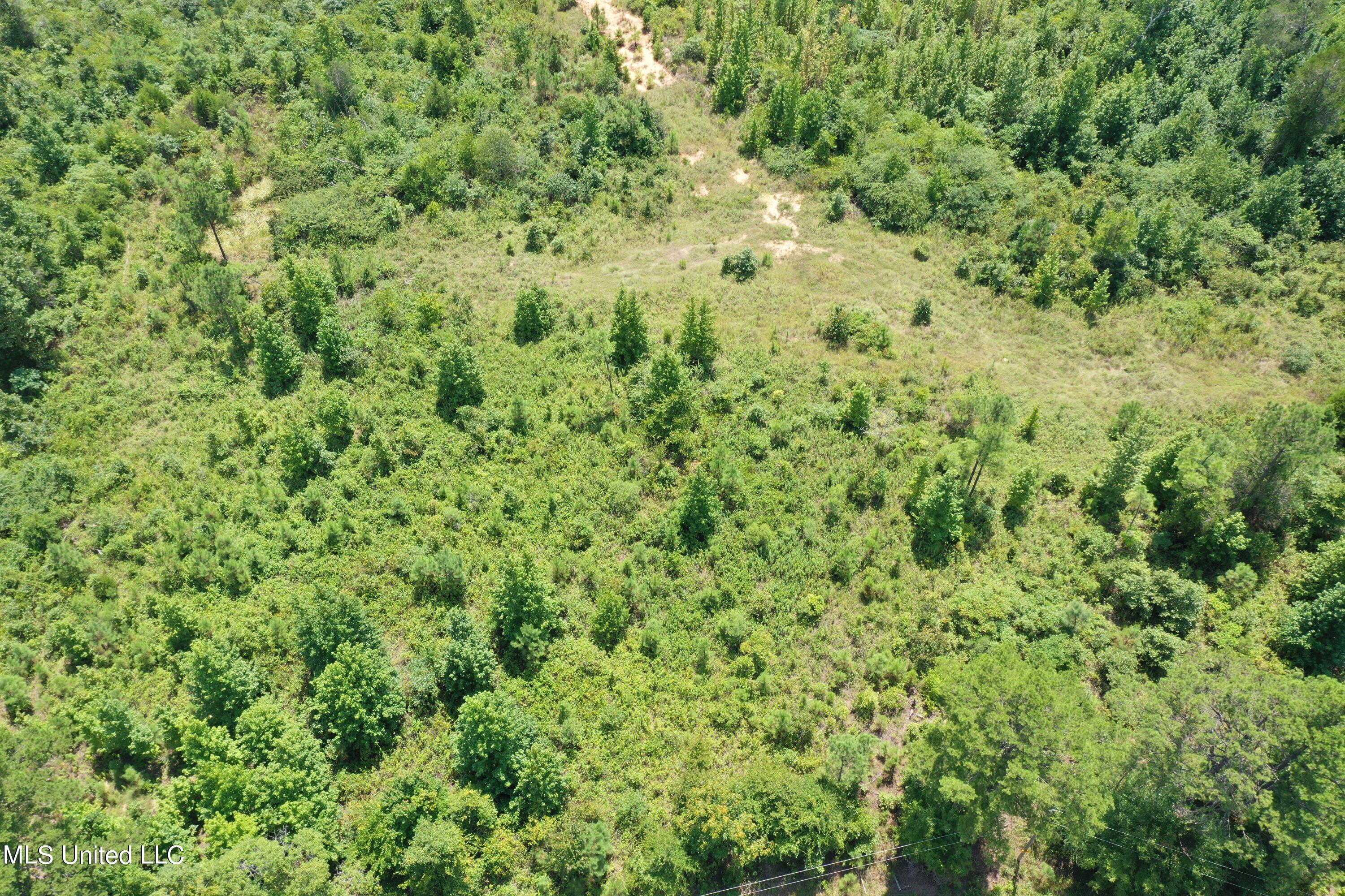 3700 Higdon Road Holly Springs, MS 38635 - Photo 3 of 16 DJI_0409