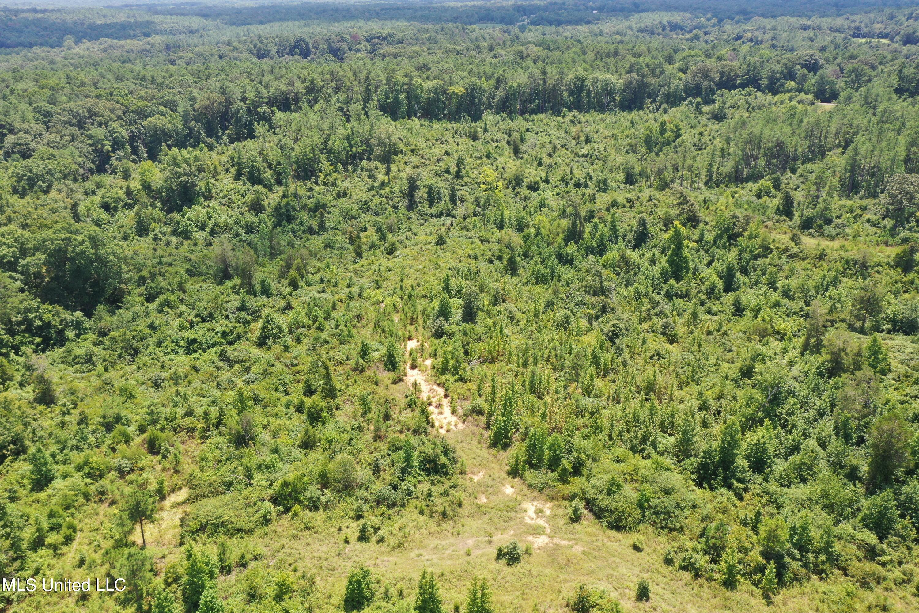 3700 Higdon Road Holly Springs, MS 38635 - Photo 4 of 16 DJI_0410