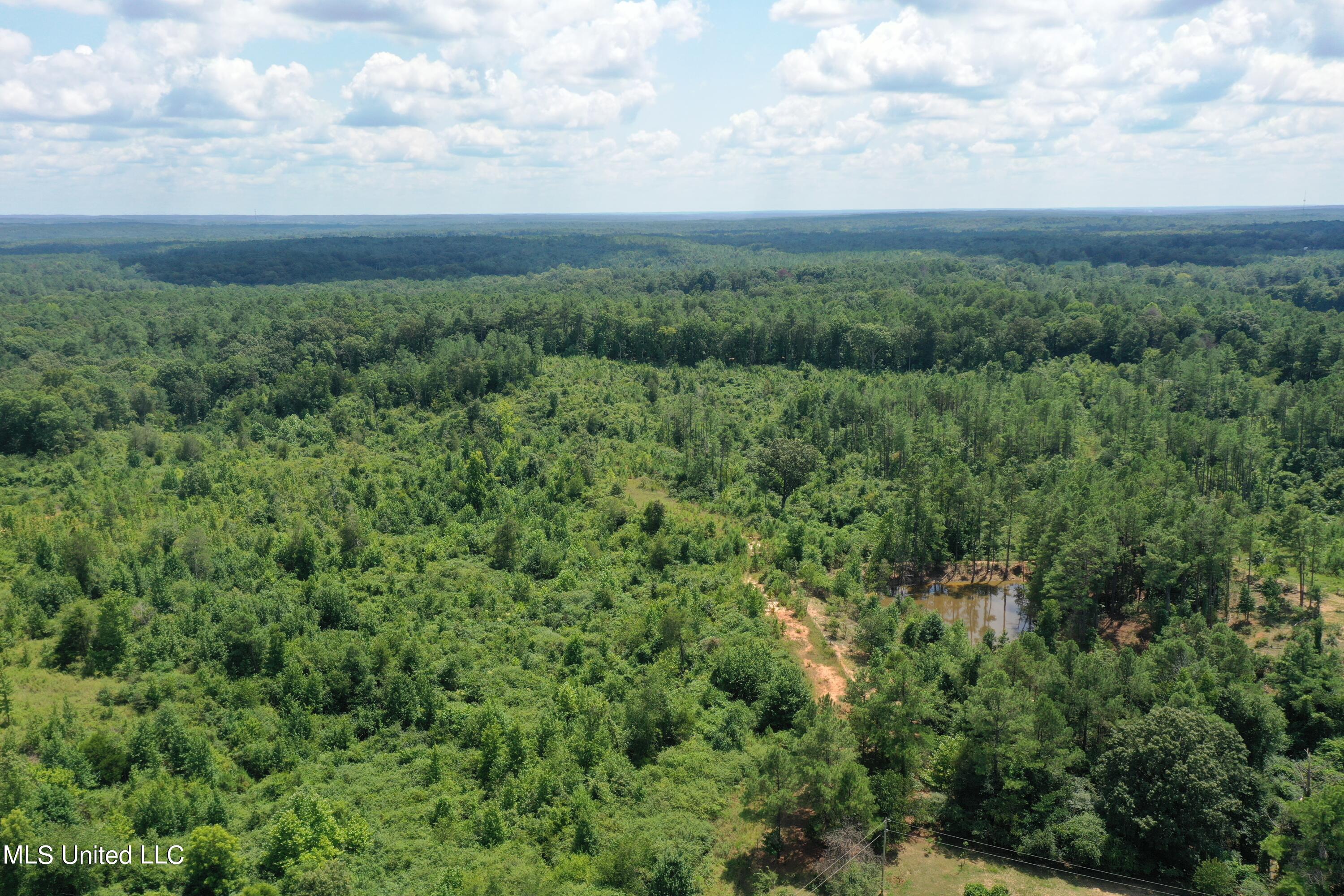 3700 Higdon Road Holly Springs, MS 38635 - Photo 5 of 16 DJI_0411