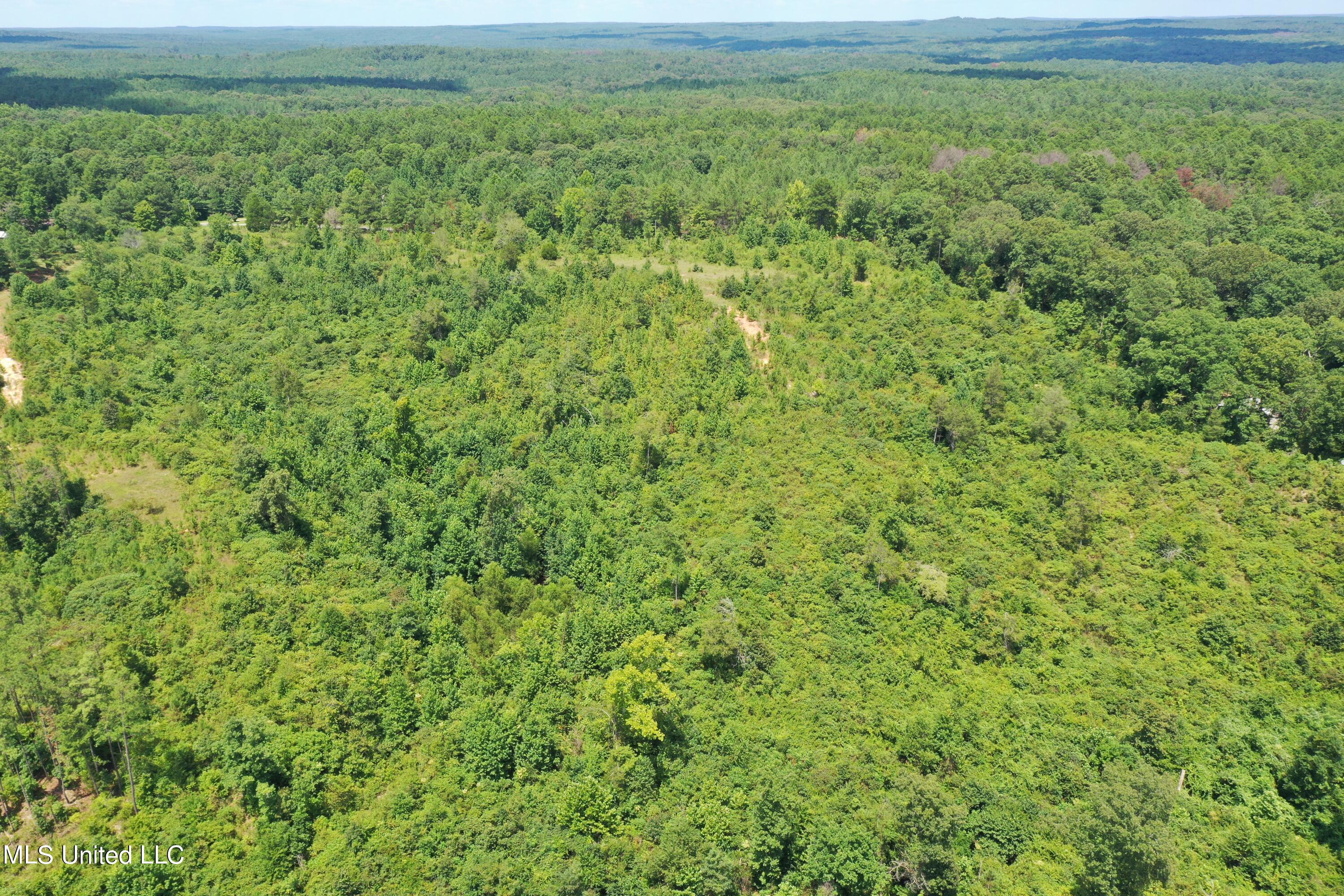 3700 Higdon Road Holly Springs, MS 38635 - Photo 6 of 16 DJI_0412