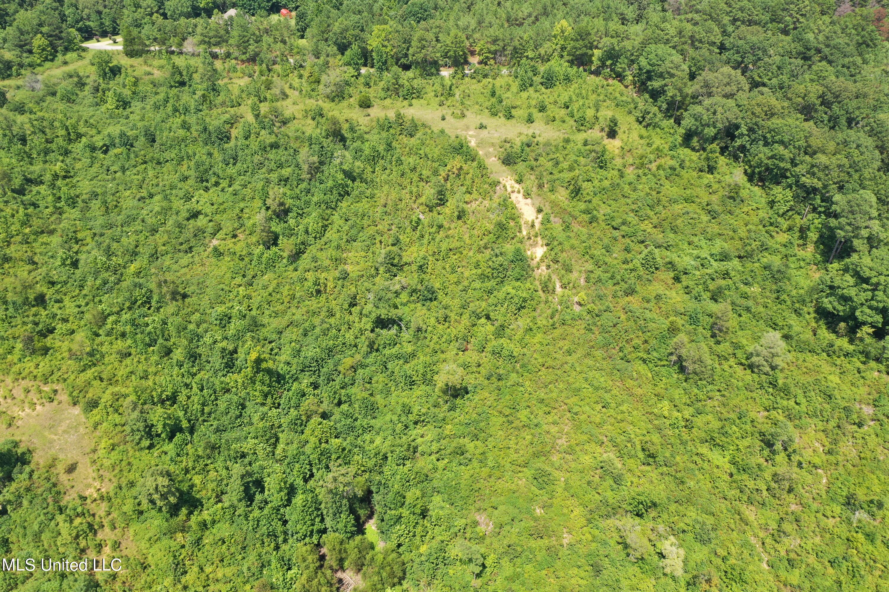 3700 Higdon Road Holly Springs, MS 38635 - Photo 7 of 16 DJI_0413