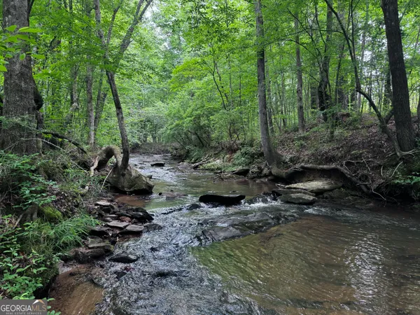 $2,502,500 | 715-ac Ridgeway Road, Franklin, GA 30217