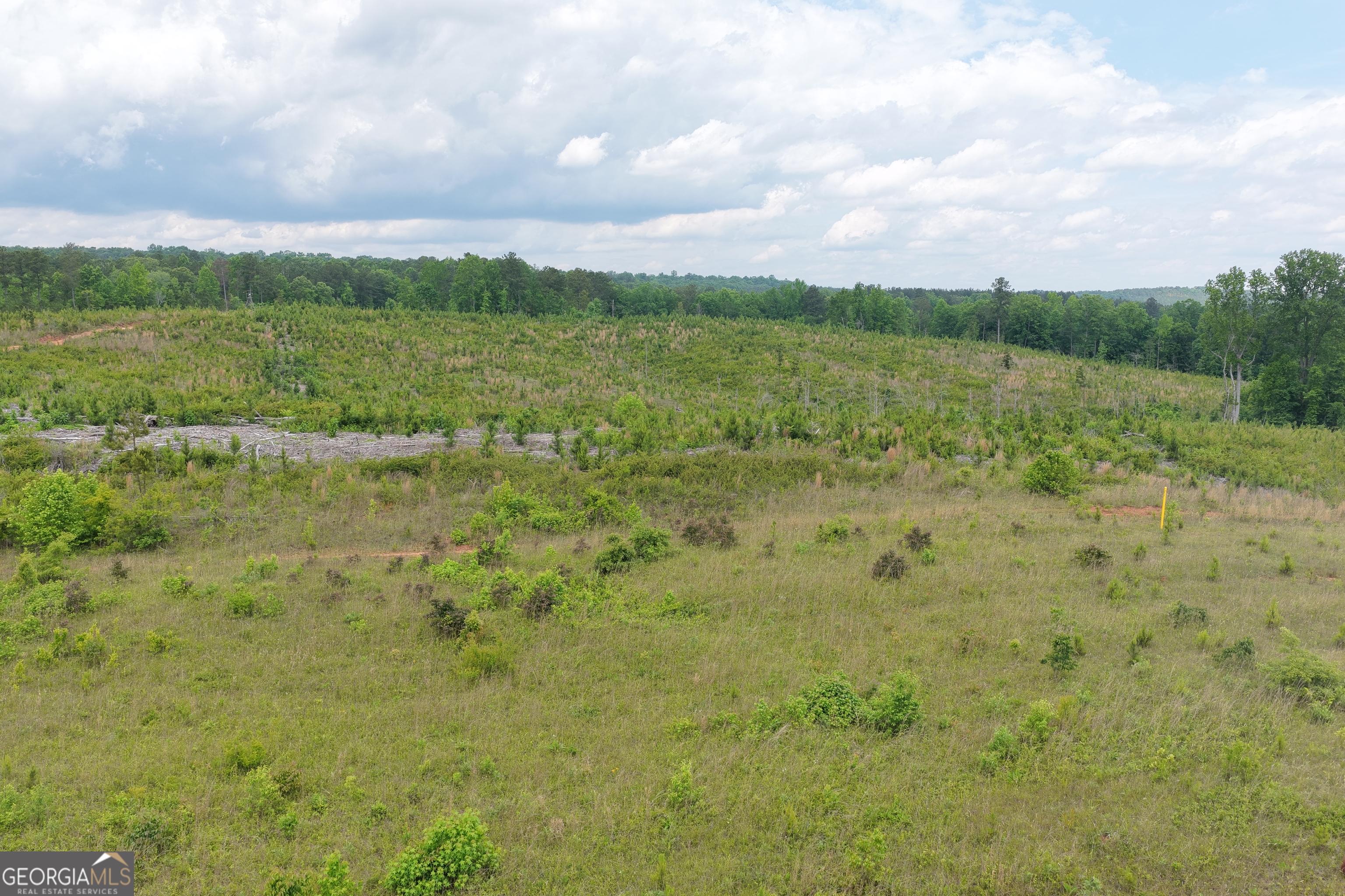 715-ac Ridgeway Road Franklin, GA 30217 - Photo 11 of 14