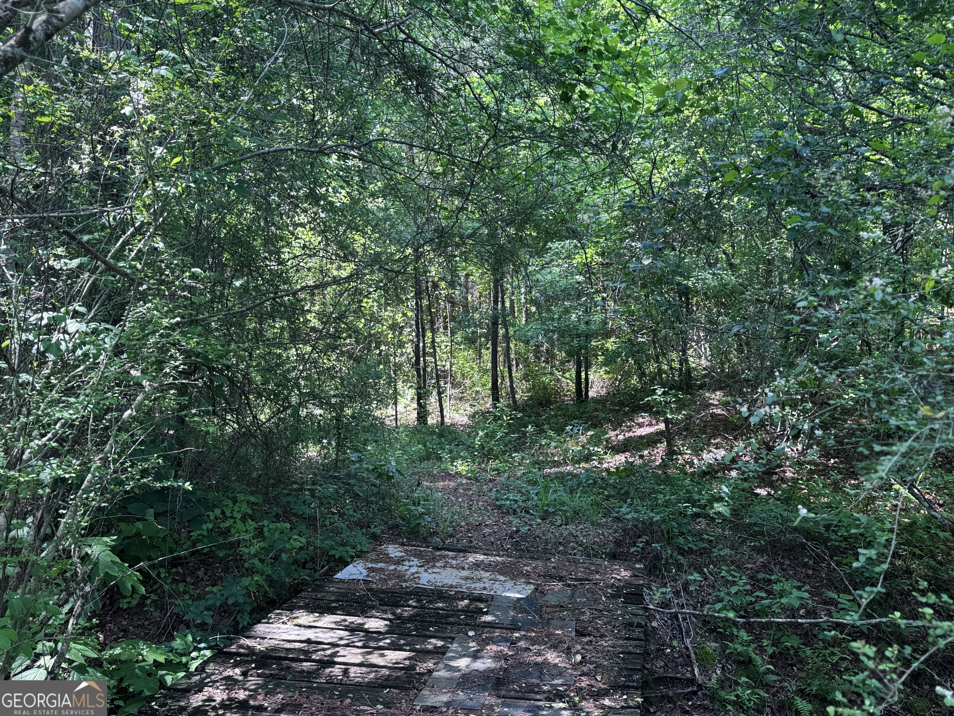 715-ac Ridgeway Road Franklin, GA 30217 - Photo 5 of 14