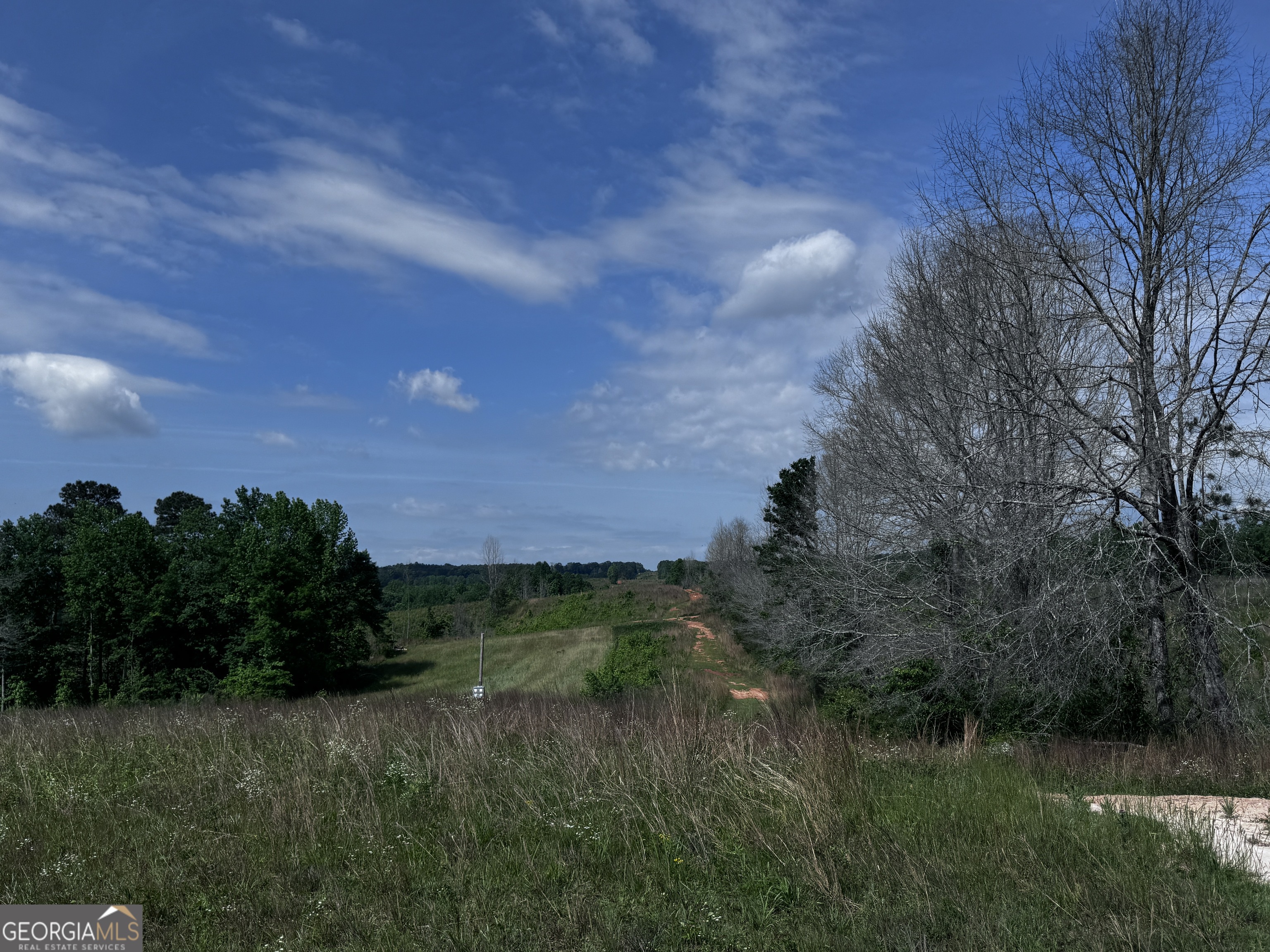 715-ac Ridgeway Road Franklin, GA 30217 - Photo 7 of 14