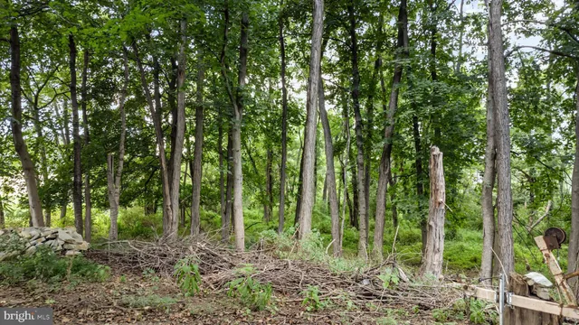 a view of outdoor space and green space