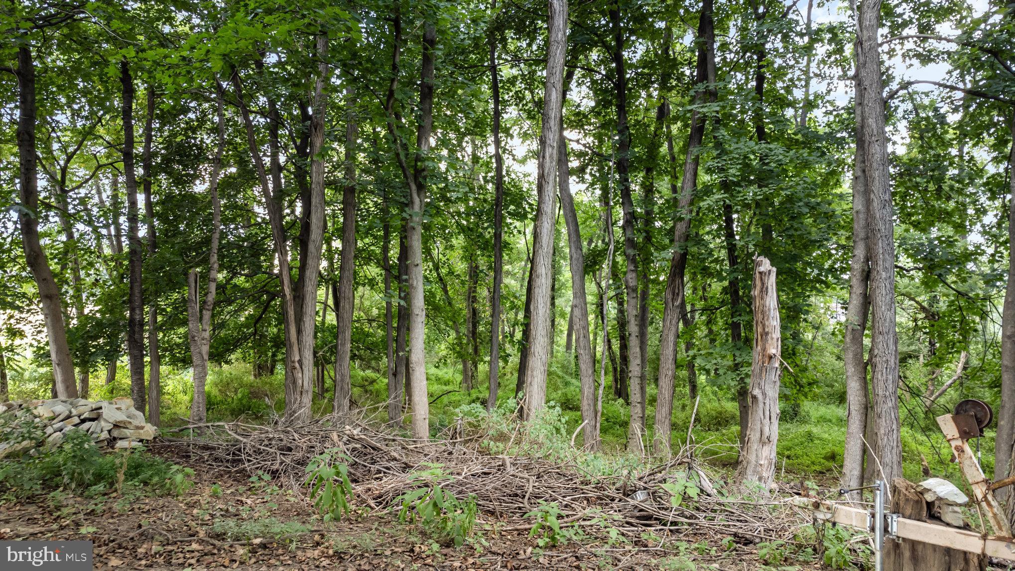485 Hershey Road Hummelstown, PA 17036 - Photo 18 of 21 a view of outdoor space and green space