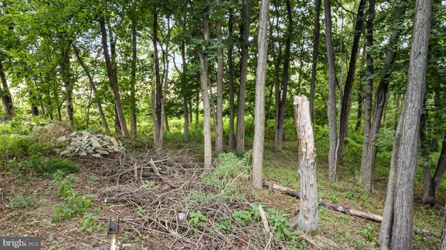 a view of outdoor space and green space