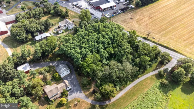 a view of a garden with an outdoor seating