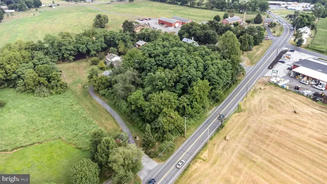 a view of a garden with a flower plants