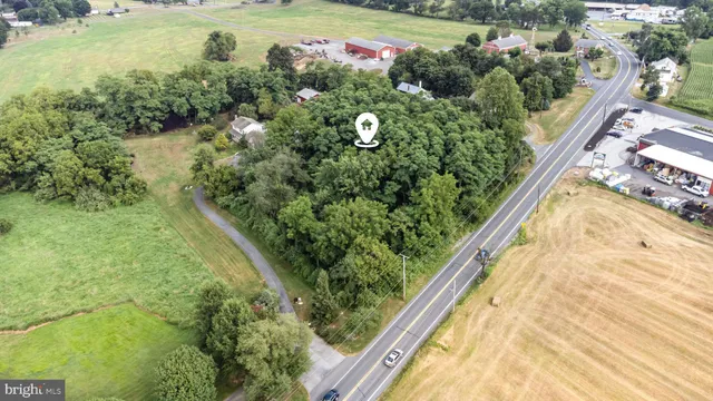 a view of a garden with a flower plants