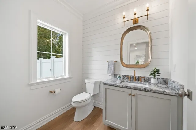 a bathroom with a toilet a sink and a mirror