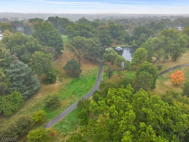 a view of a lake with a city