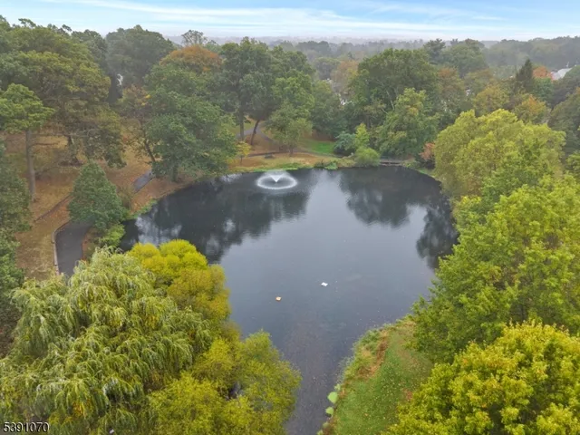 a view of a lake with a mountain in the background