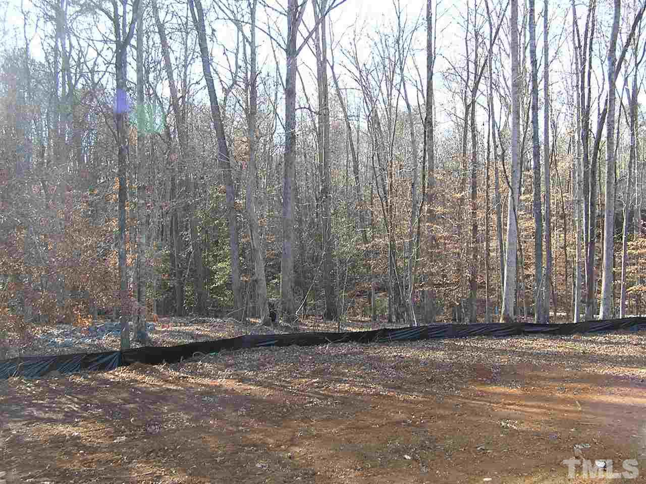 1140 Farmers Branch Road Willow Spring, NC 27592 - Photo 4 of 10
